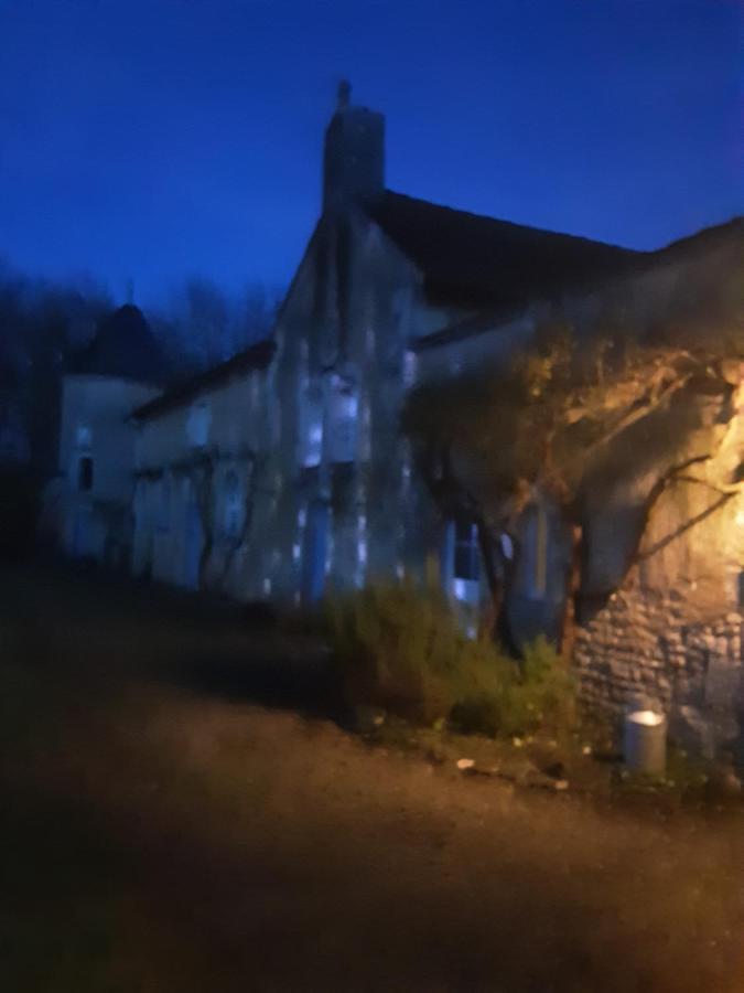 Hotel Chateau De La Touche Proche Poitiers Savigny-Lévescault Zewnętrze zdjęcie